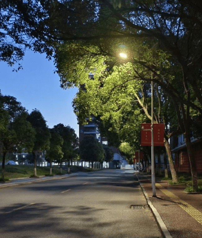 学校医院-竞技宝JJB科技